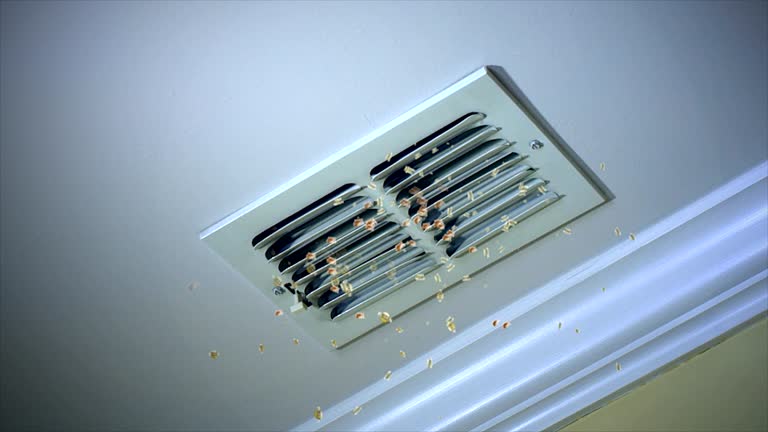 Best Air Duct Cleaning Near Me  in Zephyrhills West, FL